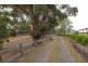 880 North Road, Pearcedale VIC 3912