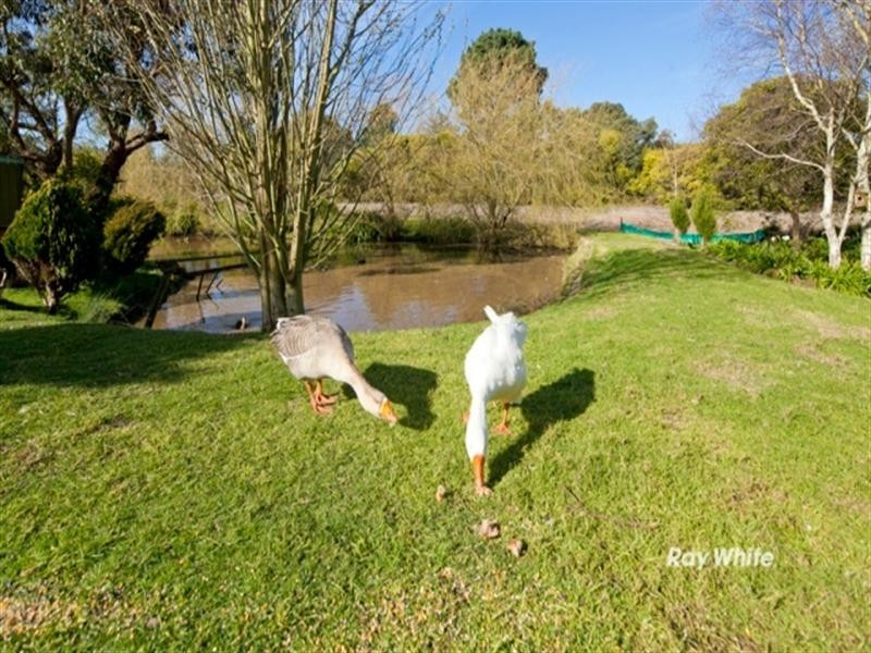 427 North Road, Langwarrin VIC 3910