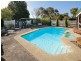 427 North Road, Langwarrin VIC 3910