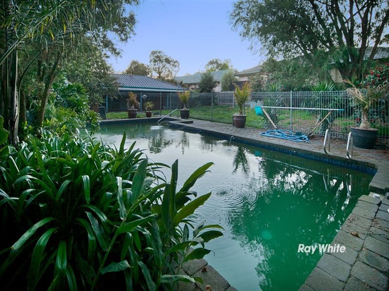 81 Heatherhill Road, Frankston VIC 3199