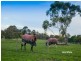 3 Bergman Road, Langwarrin VIC 3910
