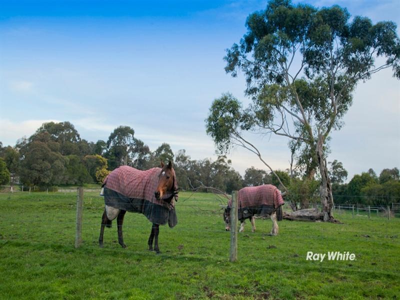 3 Bergman Road, Langwarrin VIC 3910