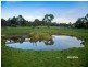3 Bergman Road, Langwarrin VIC 3910