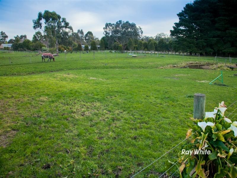 3 Bergman Road, Langwarrin VIC 3910