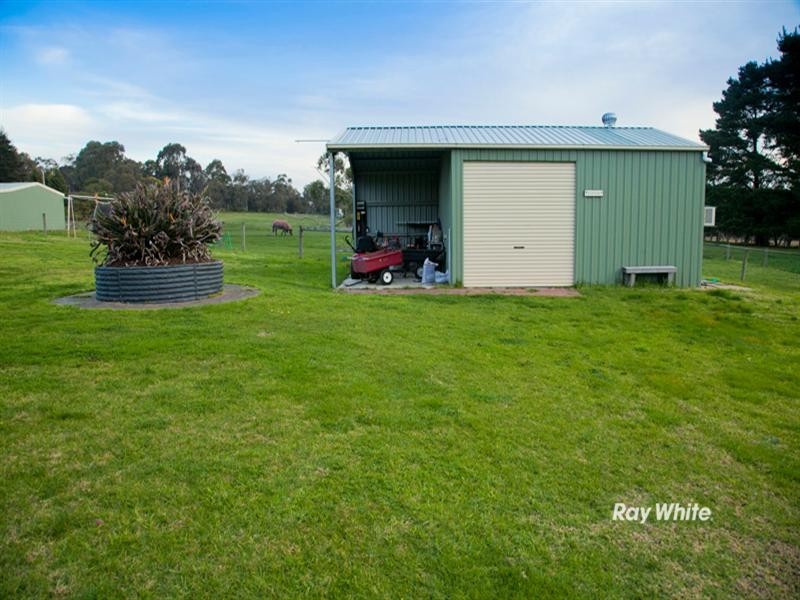 3 Bergman Road, Langwarrin VIC 3910