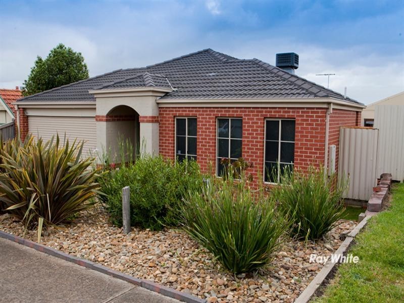 6 Sundew Drive, Langwarrin VIC 3910