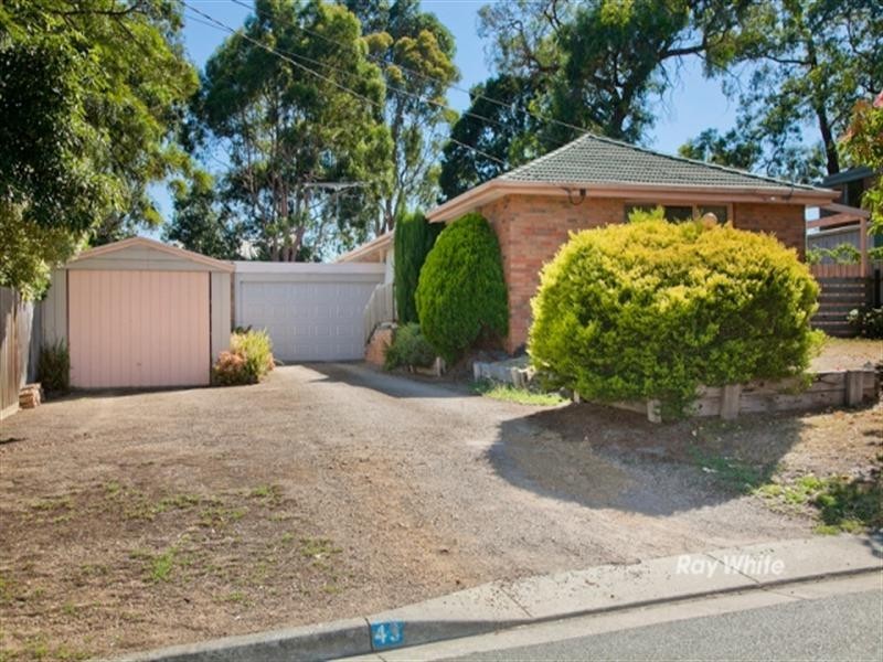 43 Alder Street, Langwarrin VIC 3910