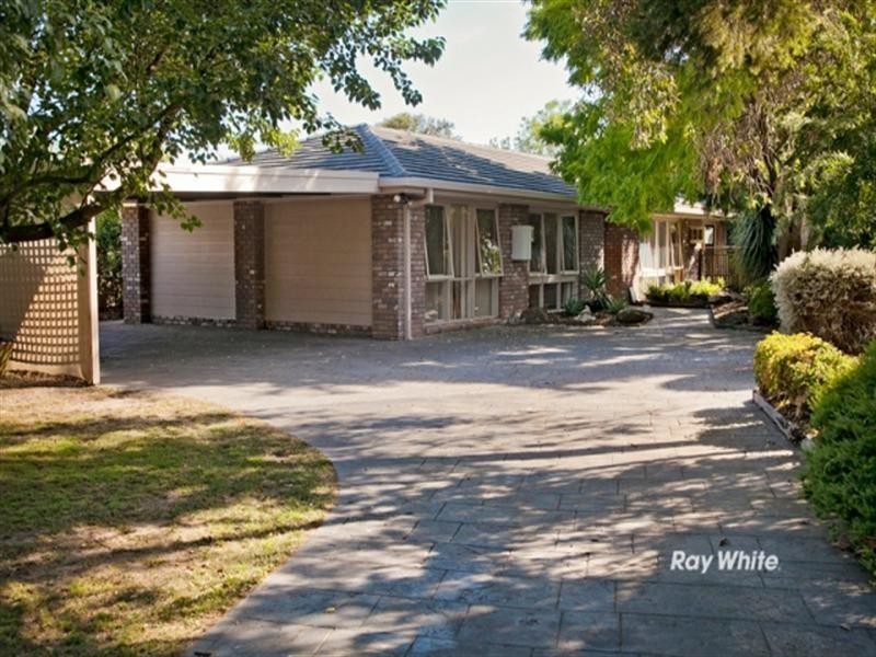 19 Larch Street, Langwarrin VIC 3910