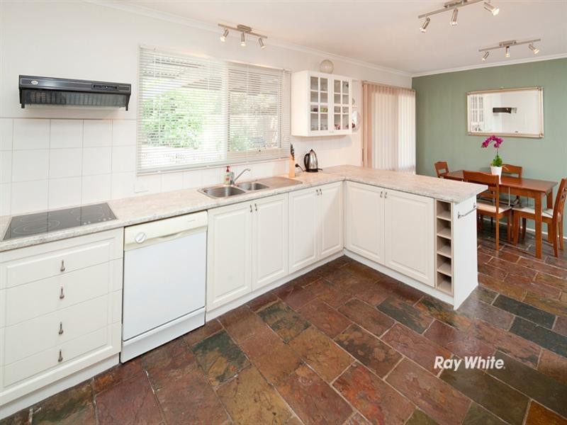 19 Larch Street, Langwarrin VIC 3910