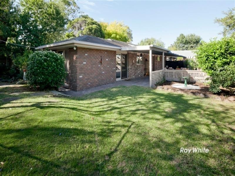 19 Larch Street, Langwarrin VIC 3910