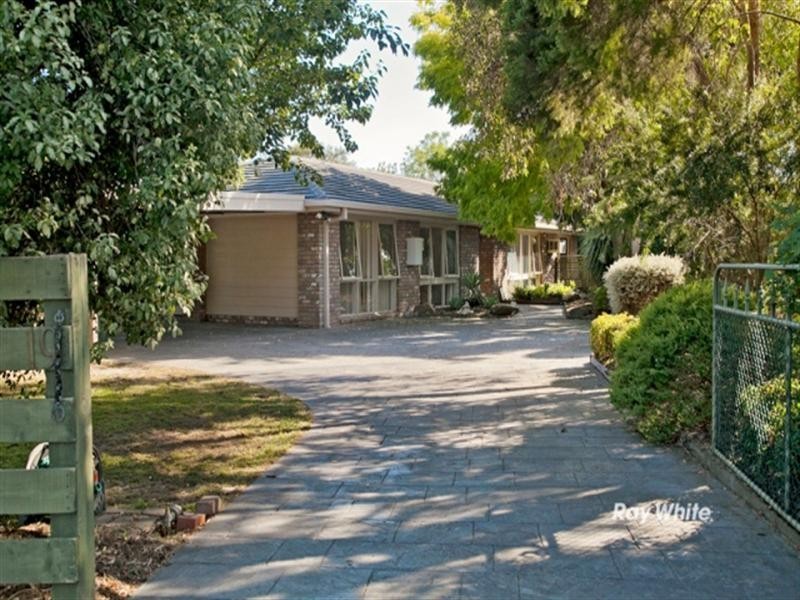 19 Larch Street, Langwarrin VIC 3910