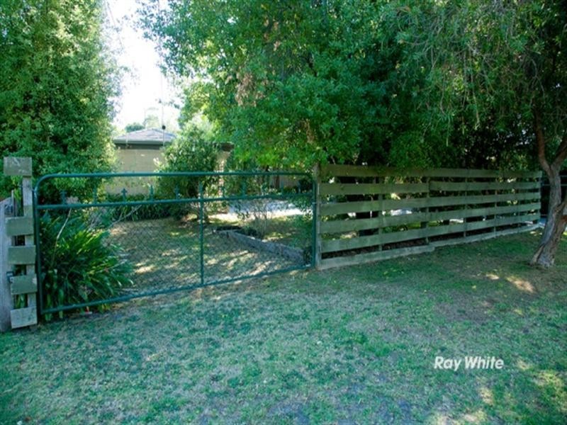 19 Larch Street, Langwarrin VIC 3910