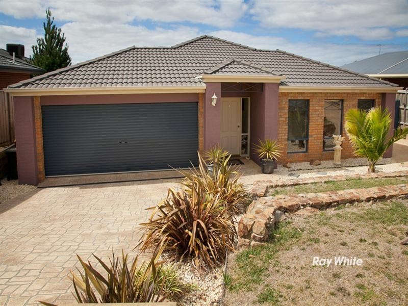 16 Sundew Drive, Langwarrin VIC 3910