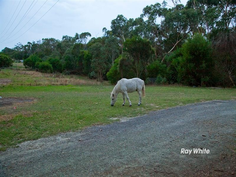 15 Bergman Road, Langwarrin VIC 3910