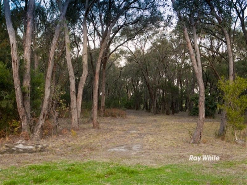 10 Bellbird Court, Langwarrin VIC 3910