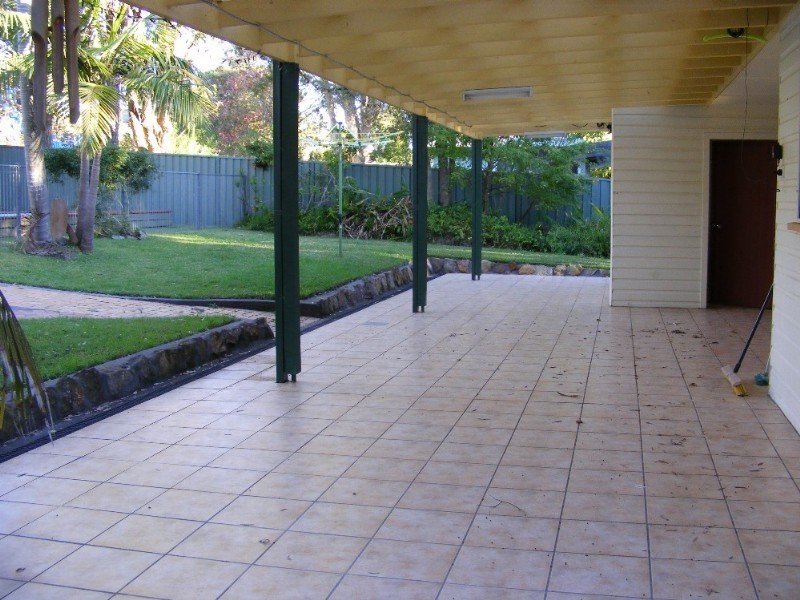 Shelly Beach NSW 2261