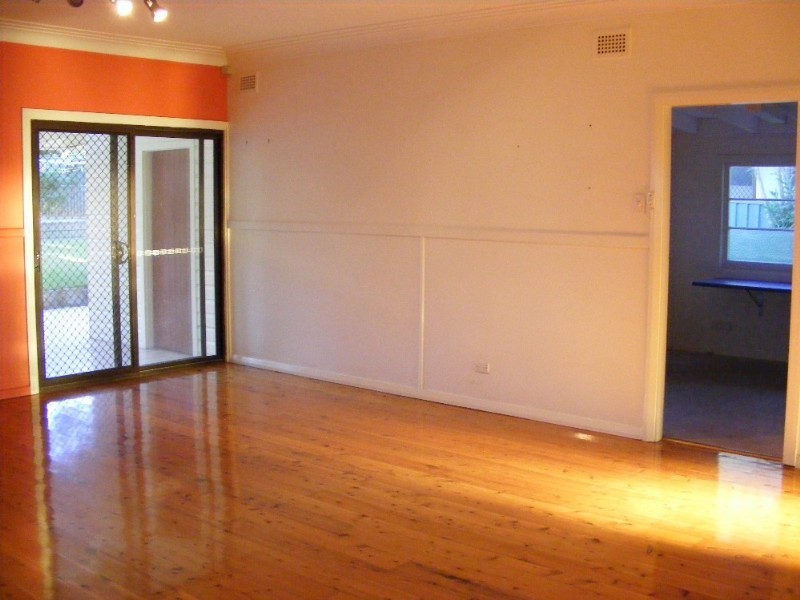 Shelly Beach NSW 2261