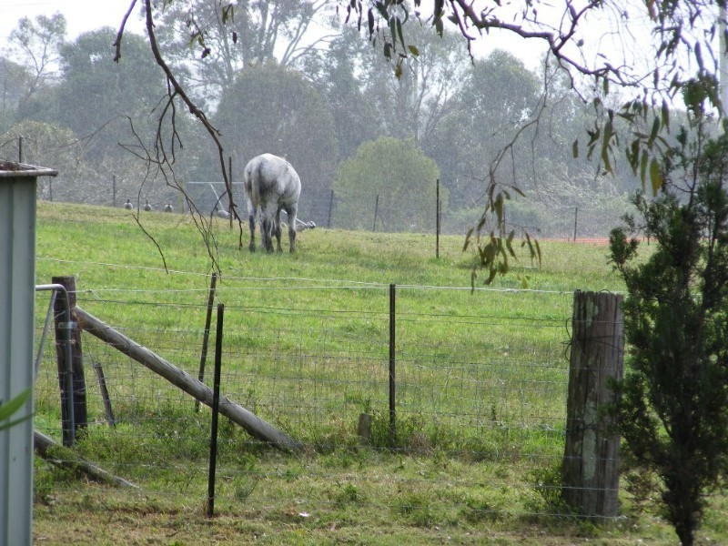37 Geoffrey Road, Chittaway Point NSW 2261