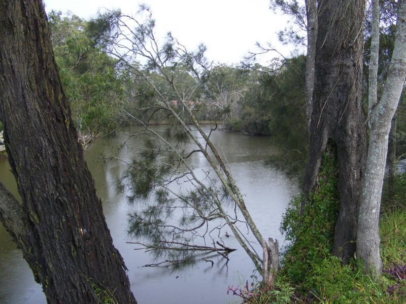 37 Geoffrey Road, Chittaway Point NSW 2261