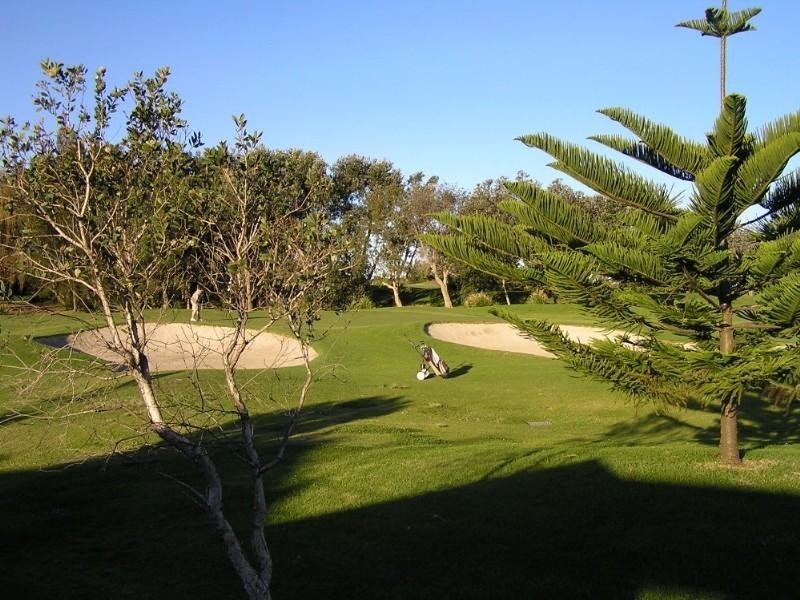 57 Liddell Street, Shelly Beach NSW 2261