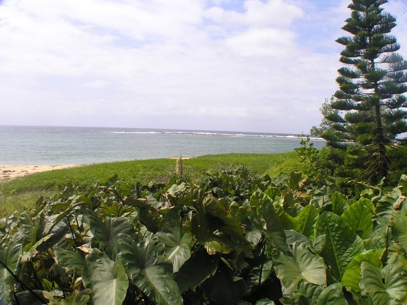 4/137-139 Stella Street, Toowoon Bay NSW 2261