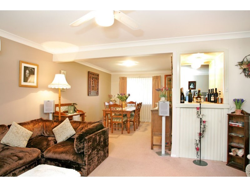 Shelly Beach NSW 2261