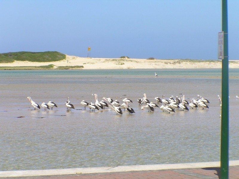 323/89-95 The Entrance Road, The Entrance NSW 2261