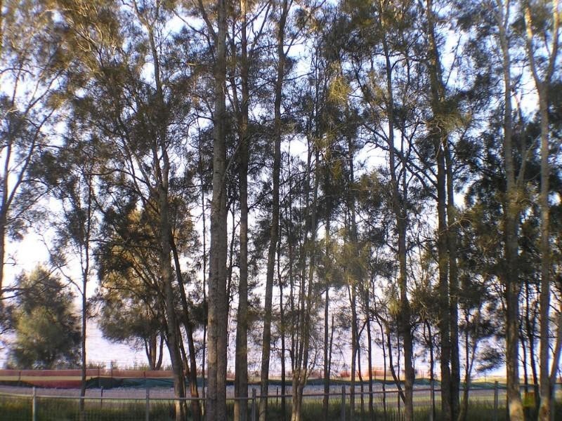 Killarney Vale NSW 2261