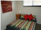 Shelly Beach NSW 2261