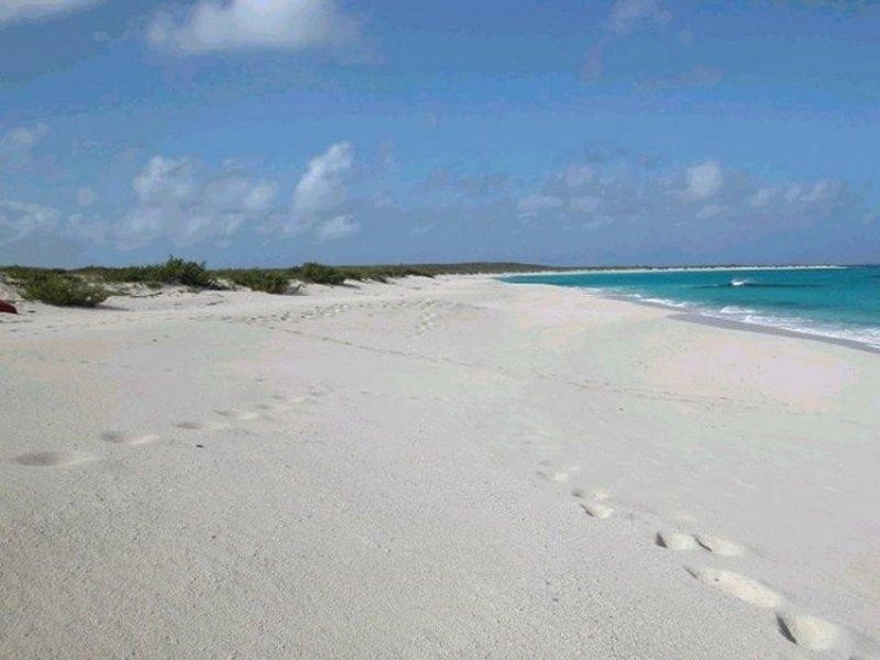 16/3-5 Hutton Road, The Entrance North NSW 2261