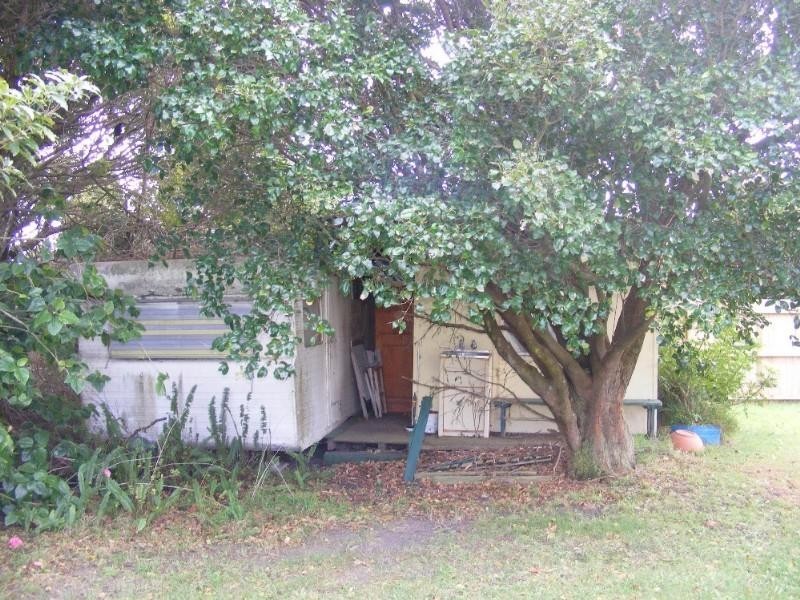 Shelly Beach NSW 2261