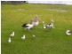 Chittaway Bay NSW 2261