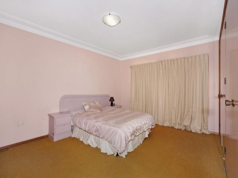 Shelly Beach NSW 2261