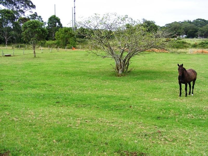 15 Canntree Road, Tuggerah NSW 2259