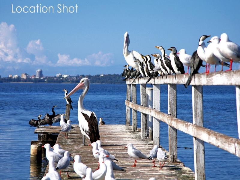 51 Hillside Drive, Berkeley Vale NSW 2261