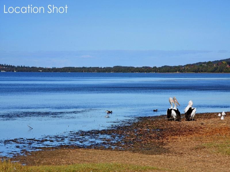 51 Hillside Drive, Berkeley Vale NSW 2261