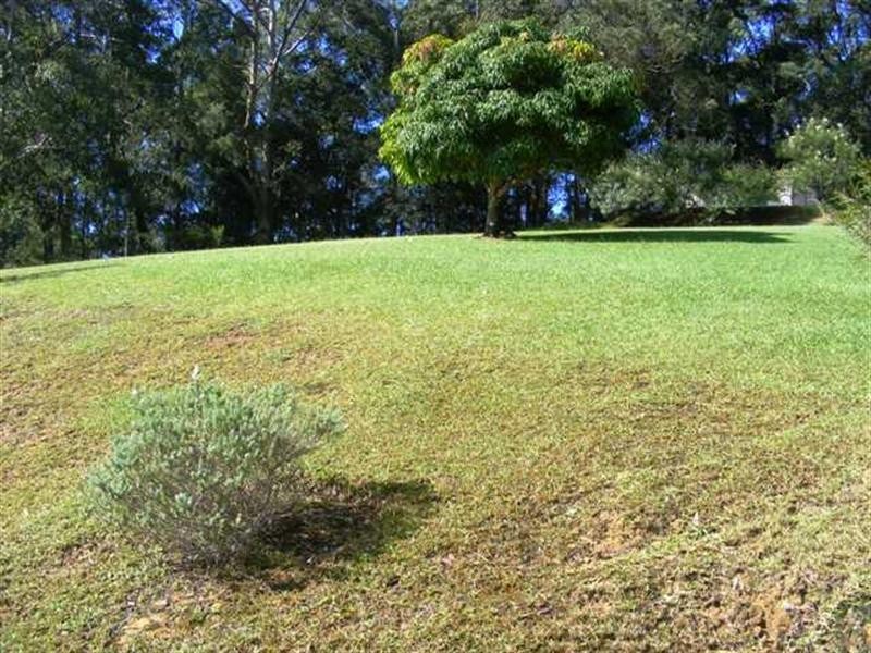 110 Anderson Road, Glenning Valley NSW 2261