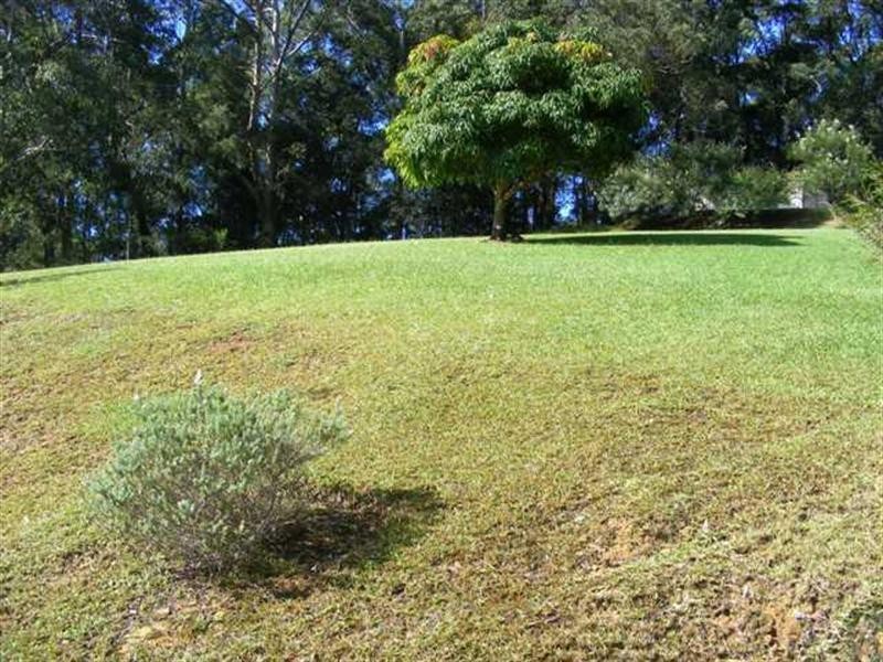 110 Anderson Road, Glenning Valley NSW 2261