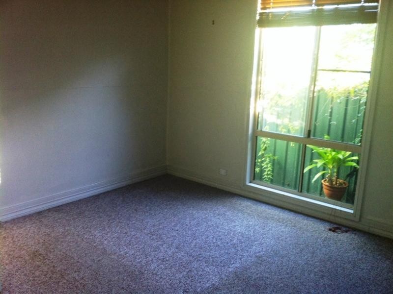 46 Shelly Beach Road, Shelly Beach NSW 2261