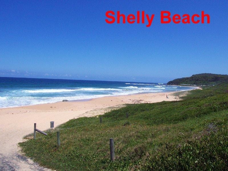 46 Shelly Beach Road, Shelly Beach NSW 2261