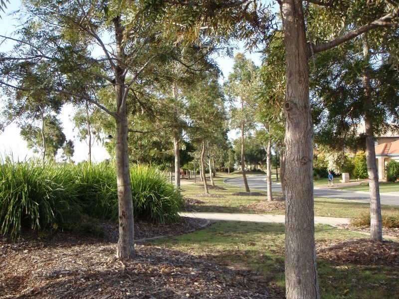 19 Springsure Parade, North Lakes QLD 4509