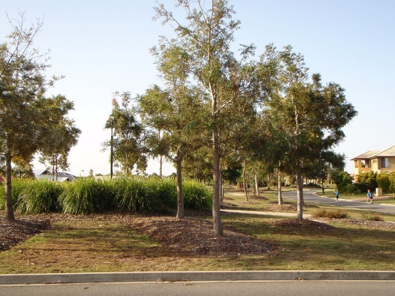 19 Springsure Parade, North Lakes QLD 4509