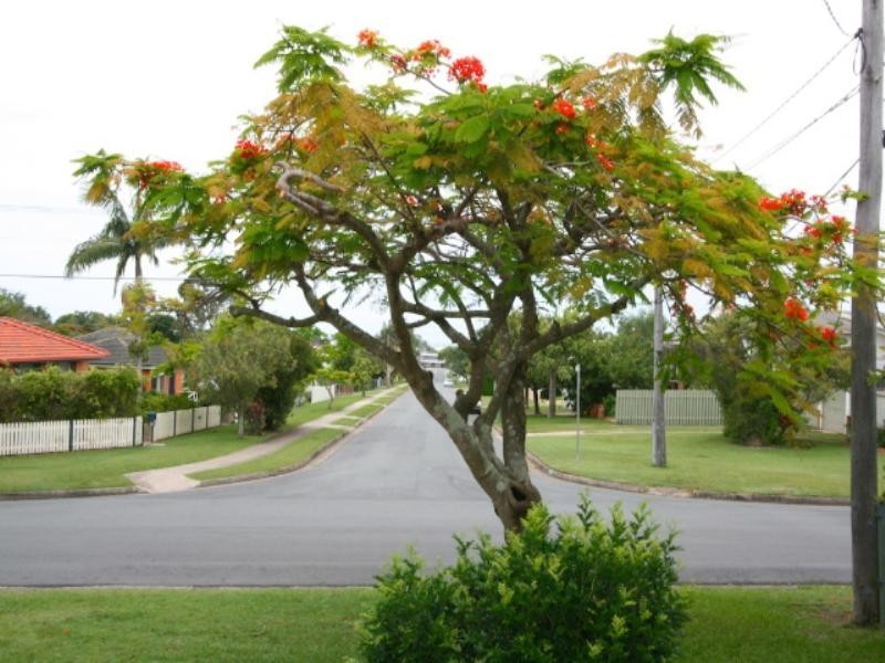 7 Knights Terrace, Margate QLD 4019
