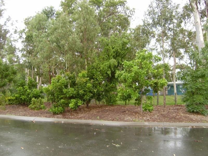 5 Aleisha Court, Redcliffe QLD 4020