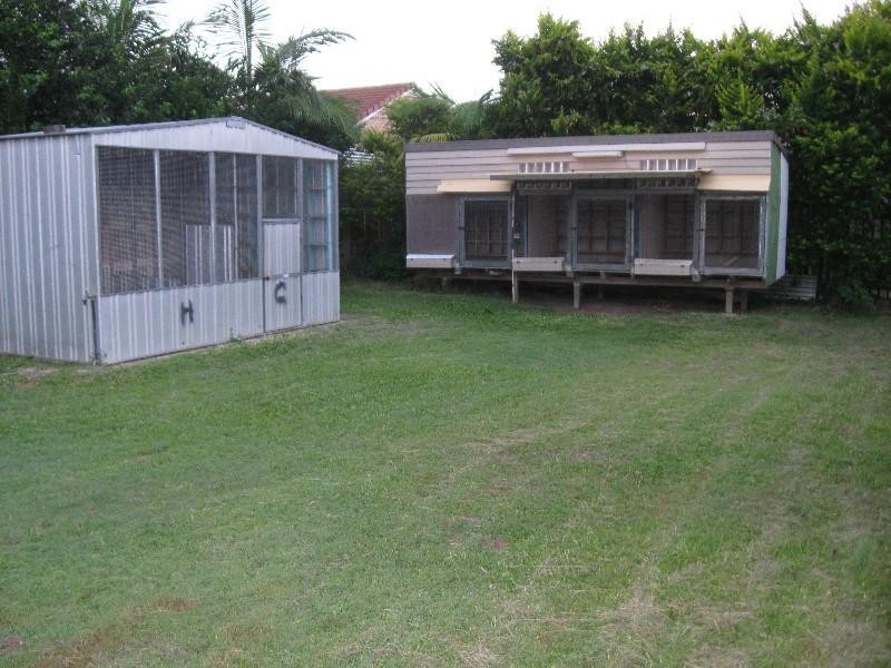 29 Georgina Street, Woody Point QLD 4019