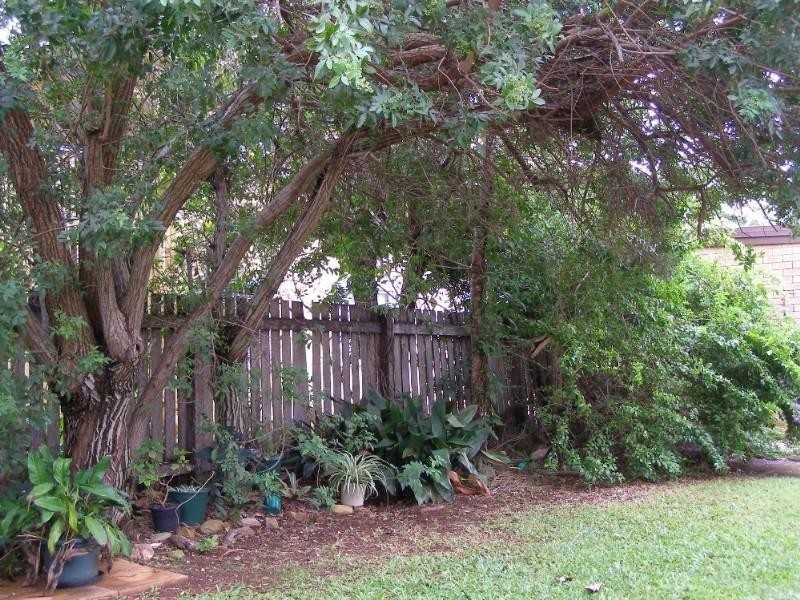 3/19 James Street, Scarborough QLD 4020