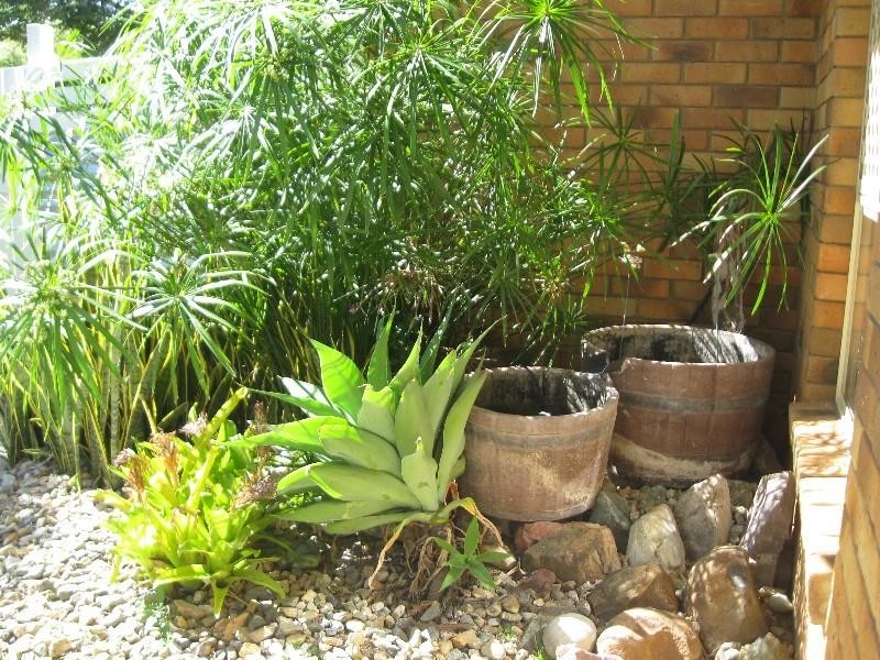 25 Dunbar Street, Margate QLD 4019