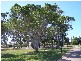24 Mayleen Street, Clontarf QLD 4019