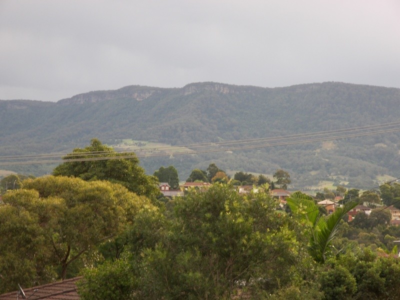 45 Bright Parade, Dapto NSW 2530