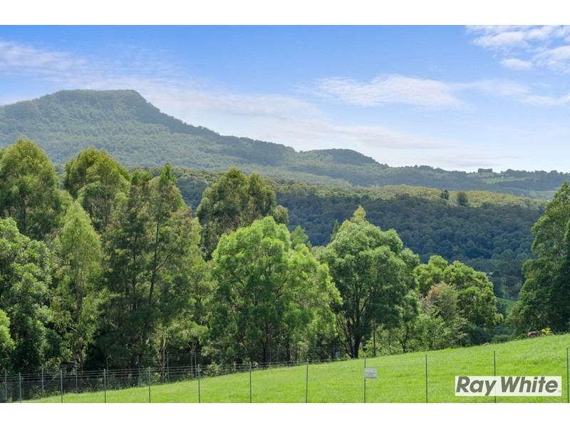 150 Smiths Lane, Wongawilli NSW 2530